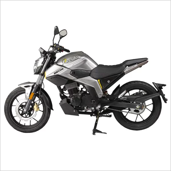 Reesdar KL200-9 Motorcycle