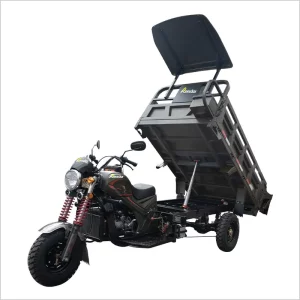 Reesdar KL250ZH-7 Three Wheeler